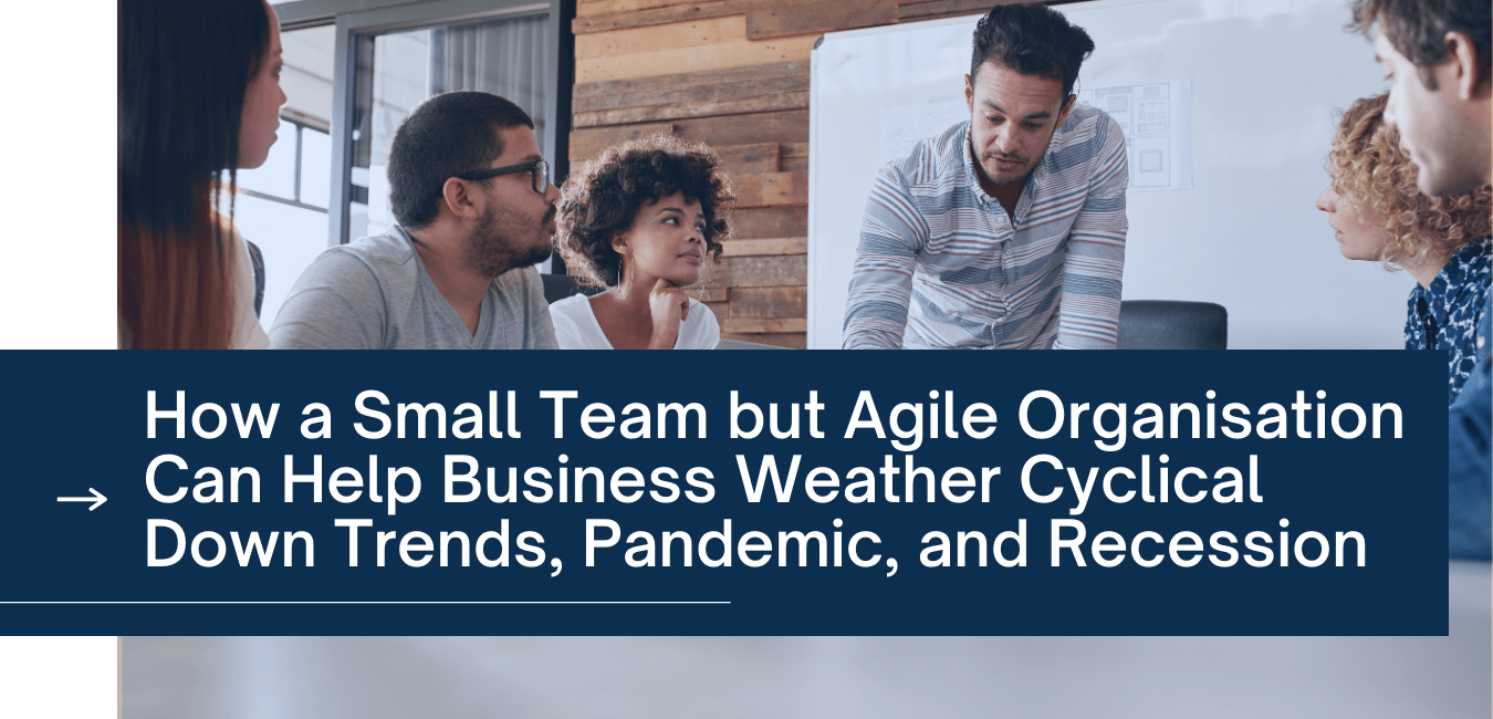How a Small Team but Agile Organization Can Help Business Weather Cyclical Down Trends, Pandemic, and Recession