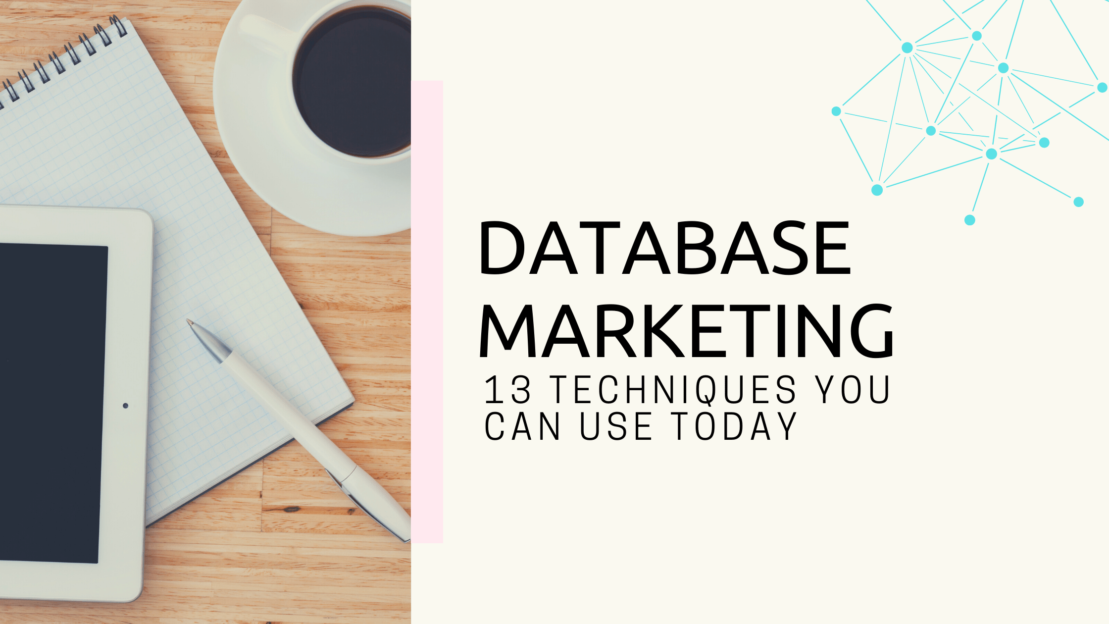 Grow your List, Grow your Profit: Database Marketing and 13 techniques that you can use today